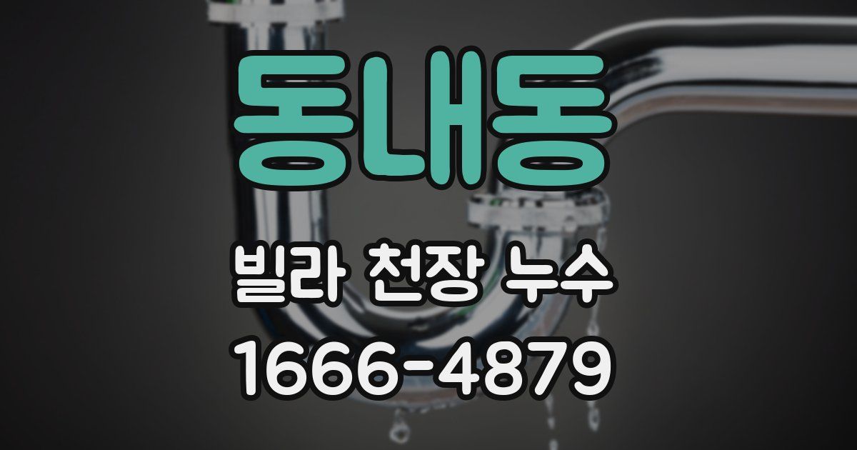 동내동 빌라 천장 누수
