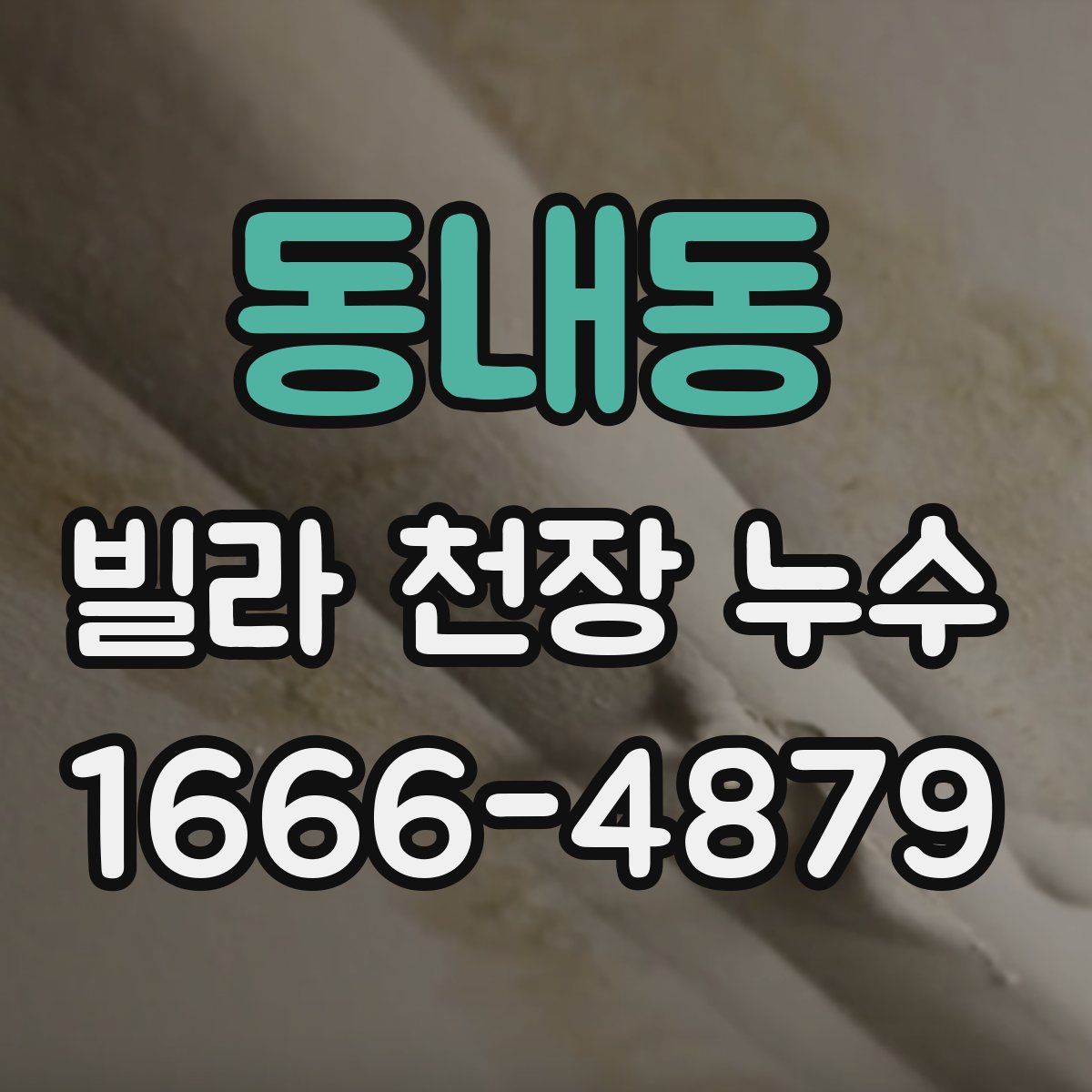 동내동 빌라 천장 누수
