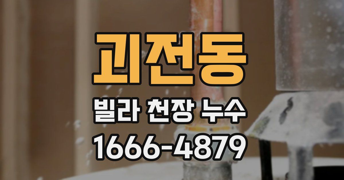 괴전동 빌라 천장 누수