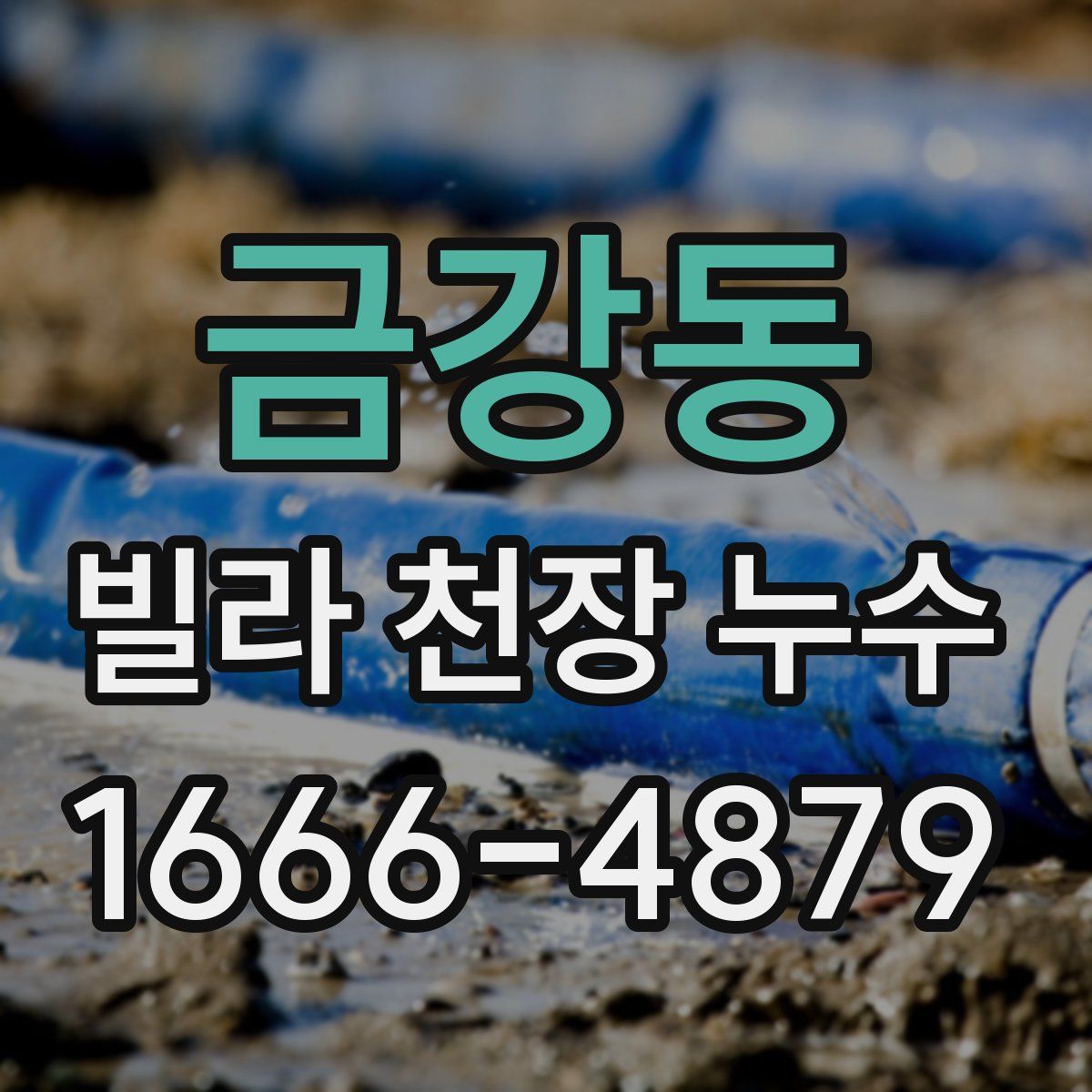 금강동 빌라 천장 누수