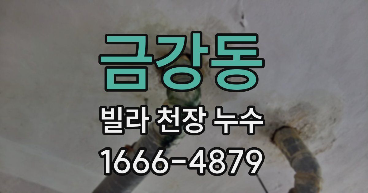 금강동 빌라 천장 누수