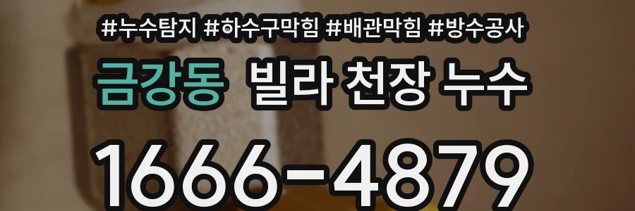 금강동 빌라 천장 누수
