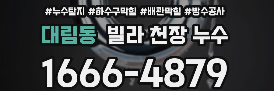 대림동 빌라 천장 누수