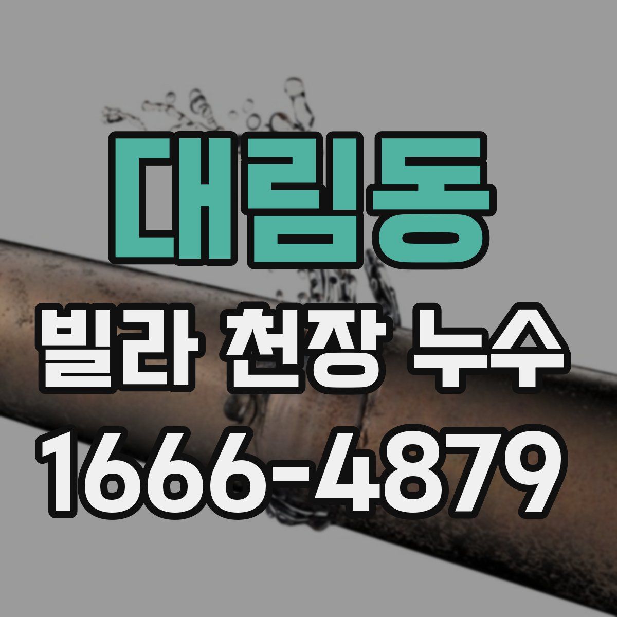 대림동 빌라 천장 누수