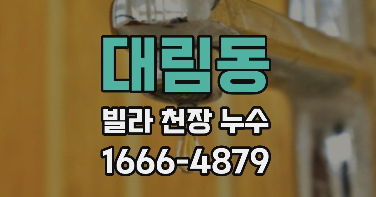 대림동 빌라 천장 누수