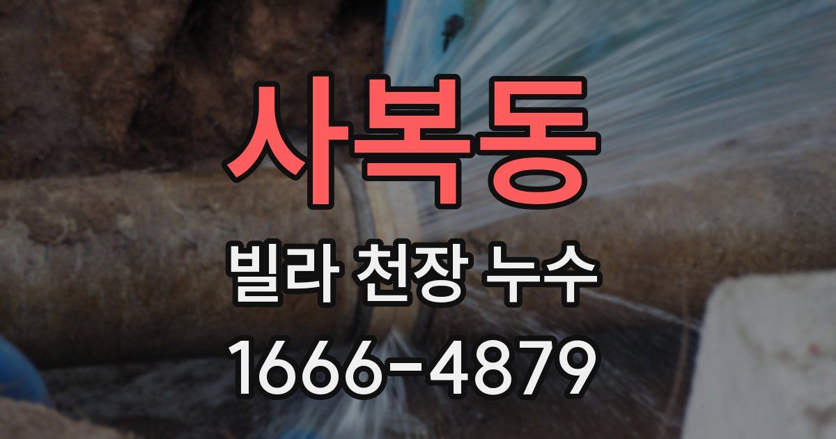사복동 빌라 천장 누수