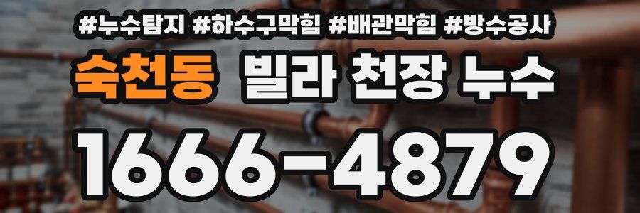 숙천동 빌라 천장 누수