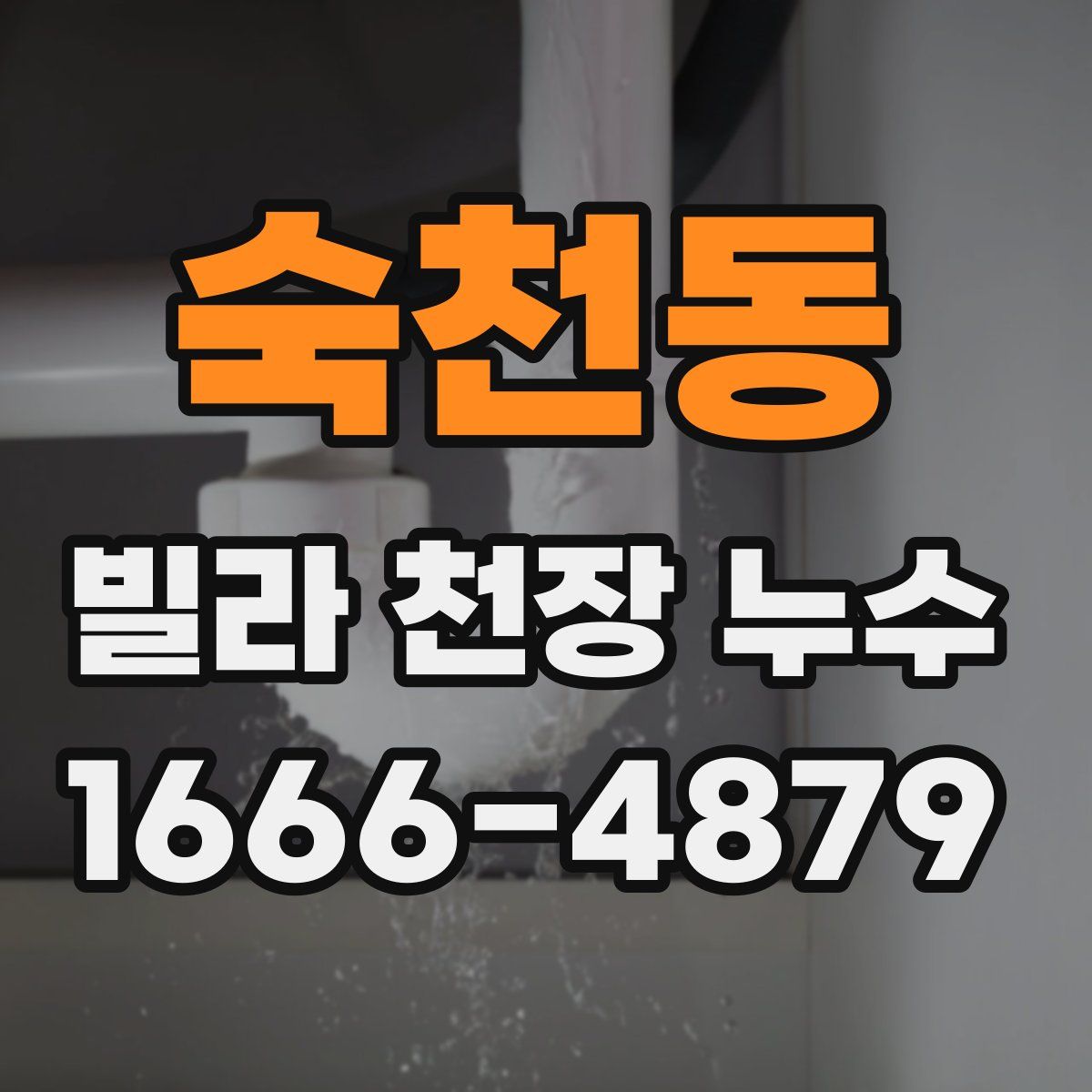 숙천동 빌라 천장 누수