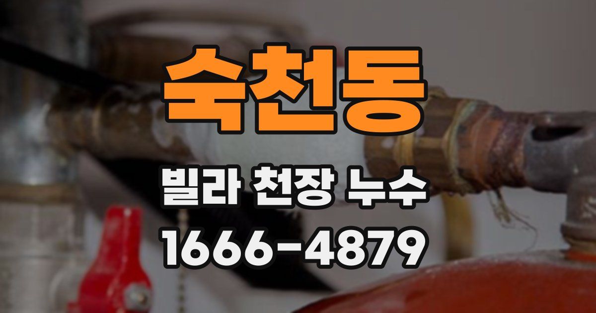 숙천동 빌라 천장 누수