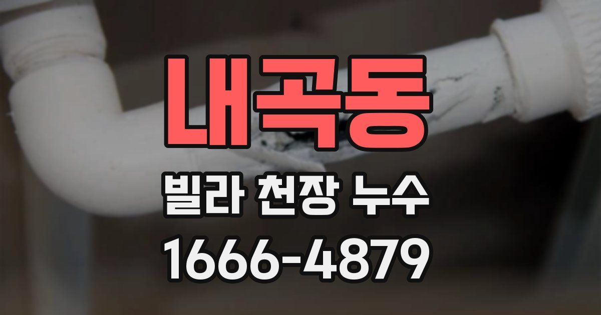 내곡동 빌라 천장 누수