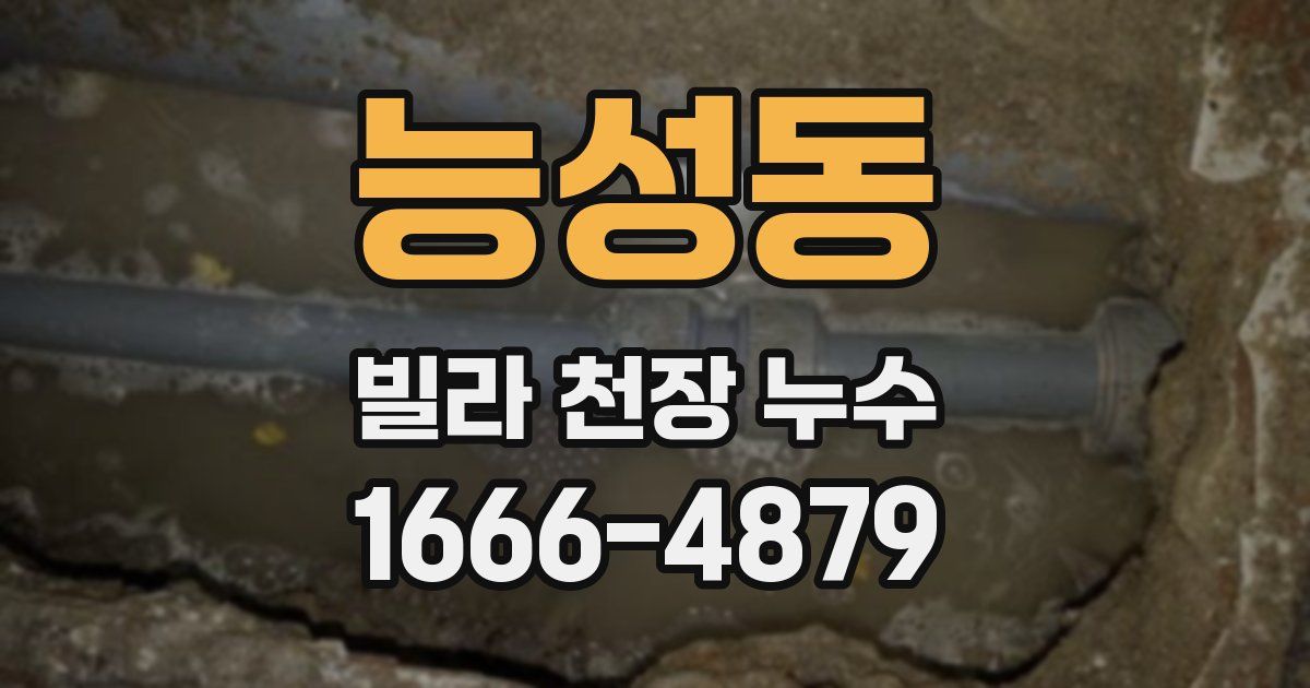 능성동 빌라 천장 누수