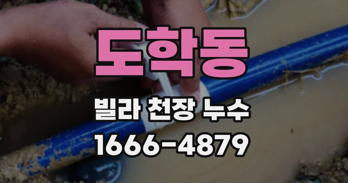 도학동 빌라 천장 누수