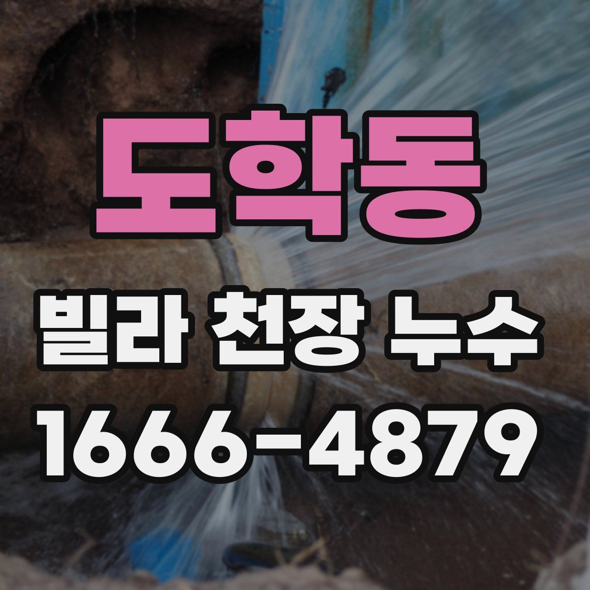 도학동 빌라 천장 누수
