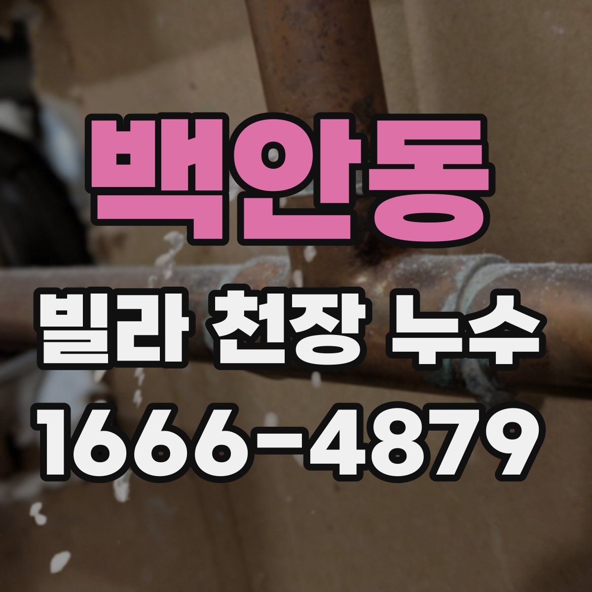 백안동 빌라 천장 누수