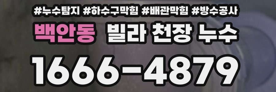 백안동 빌라 천장 누수