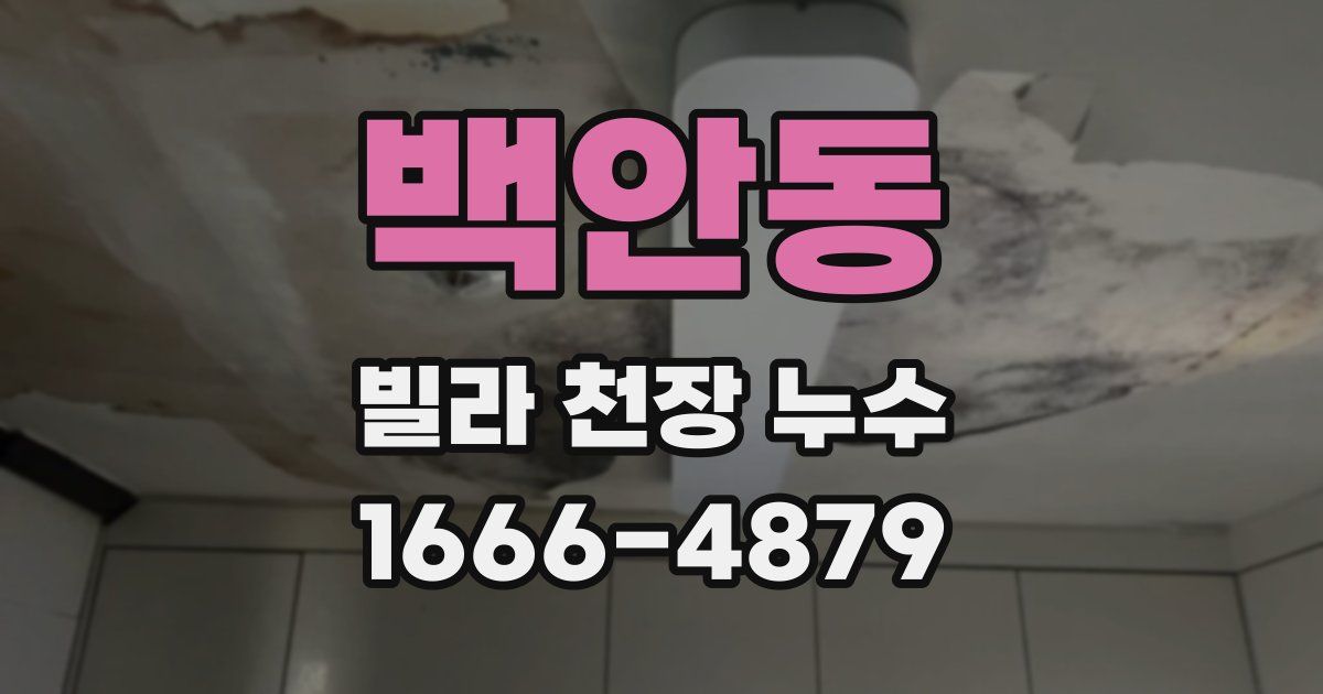 백안동 빌라 천장 누수