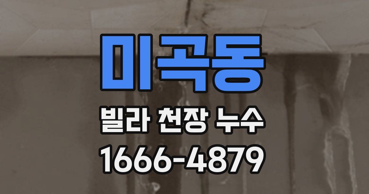 미곡동 빌라 천장 누수