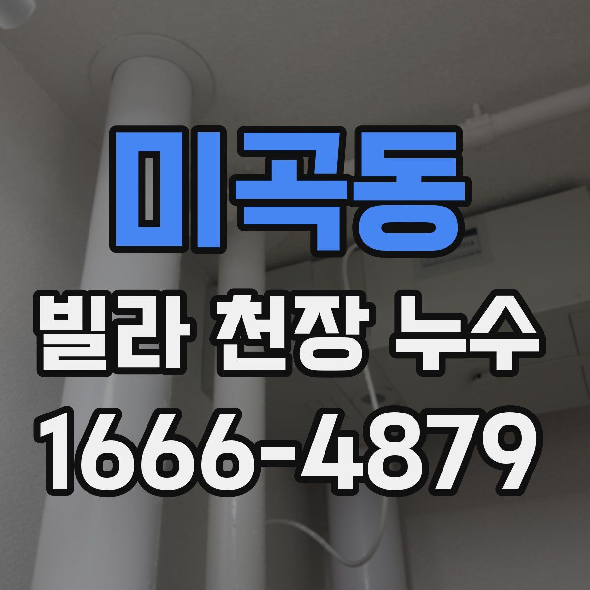 미곡동 빌라 천장 누수