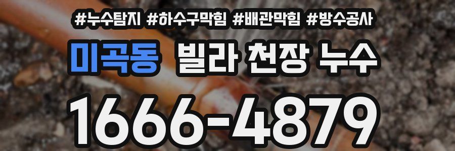 미곡동 빌라 천장 누수