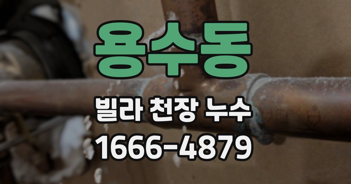 용수동 빌라 천장 누수