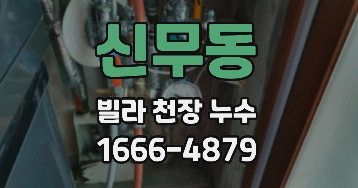 신무동 빌라 천장 누수