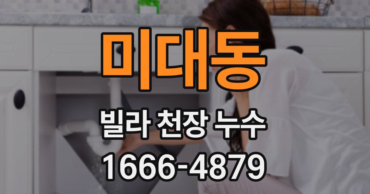 미대동 빌라 천장 누수