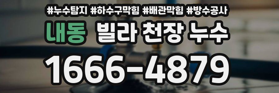 내동 빌라 천장 누수
