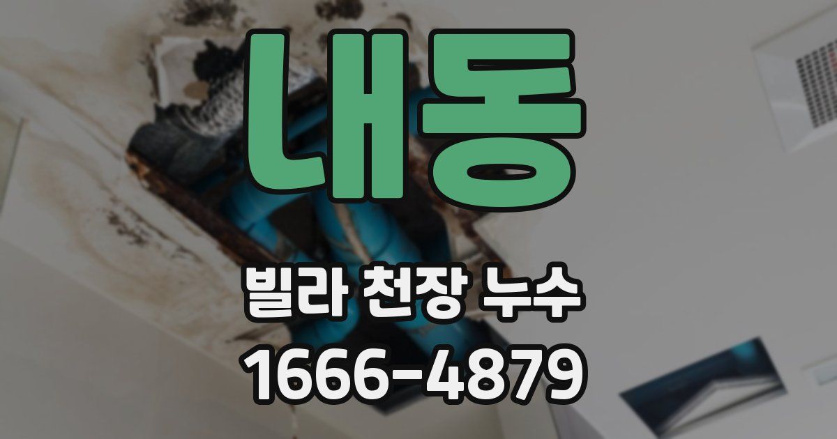 내동 빌라 천장 누수