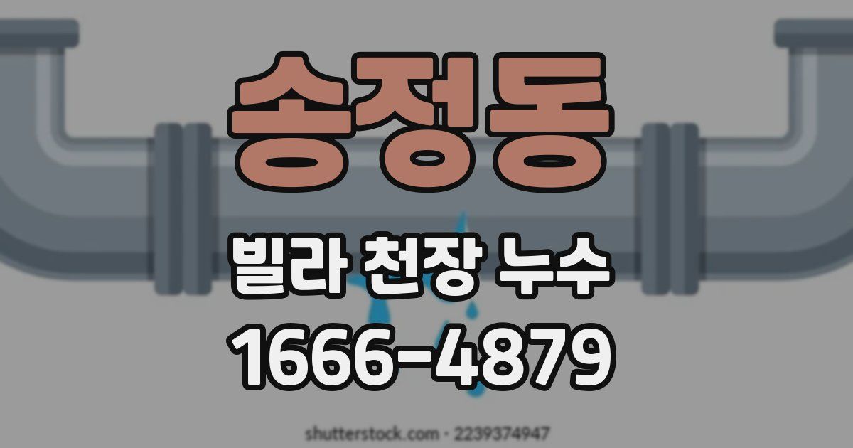 송정동 빌라 천장 누수