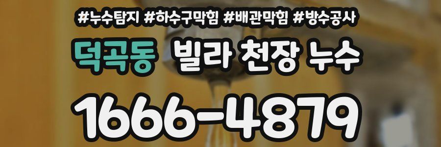 덕곡동 빌라 천장 누수