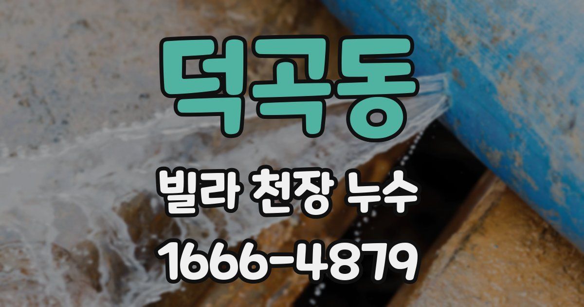 덕곡동 빌라 천장 누수
