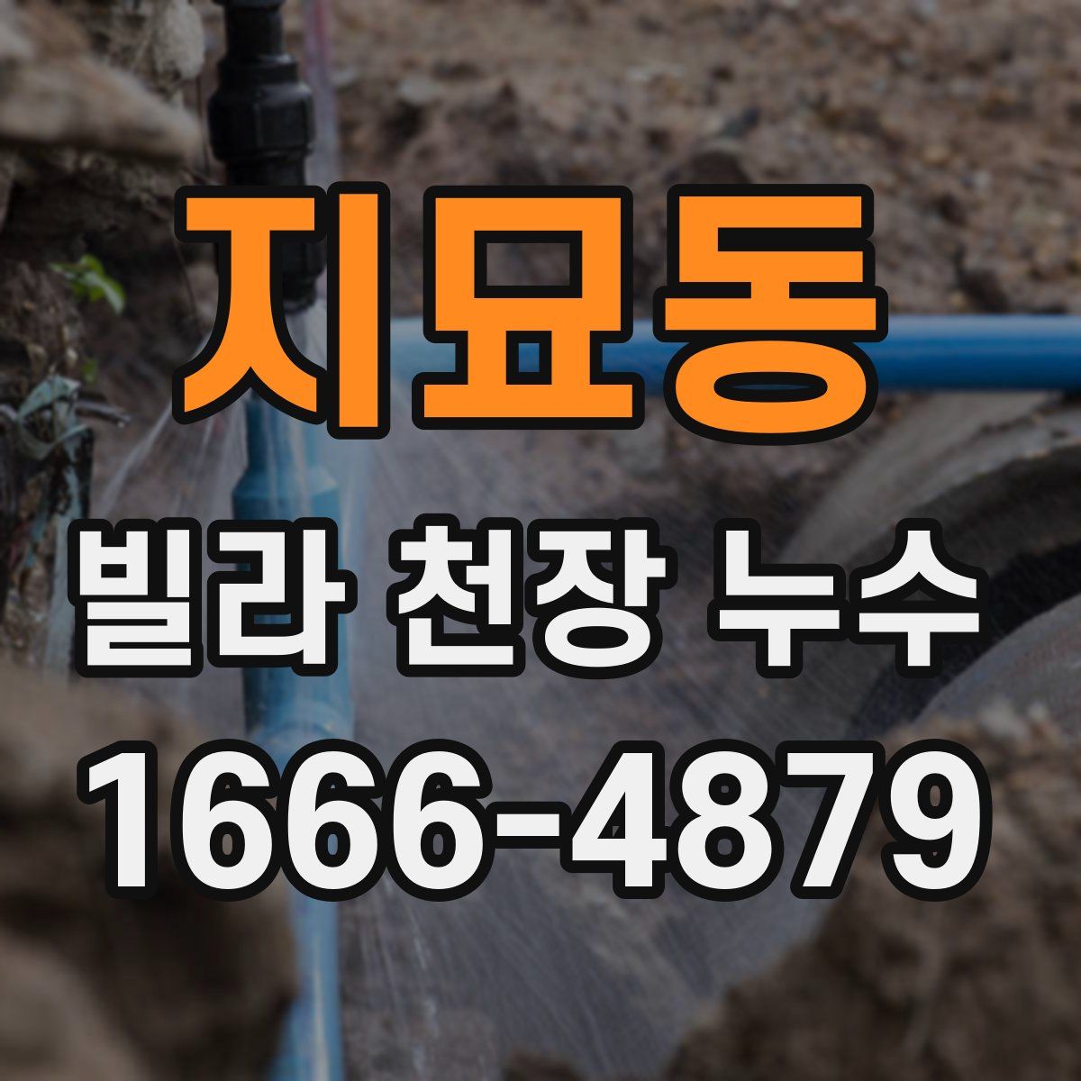 지묘동 빌라 천장 누수