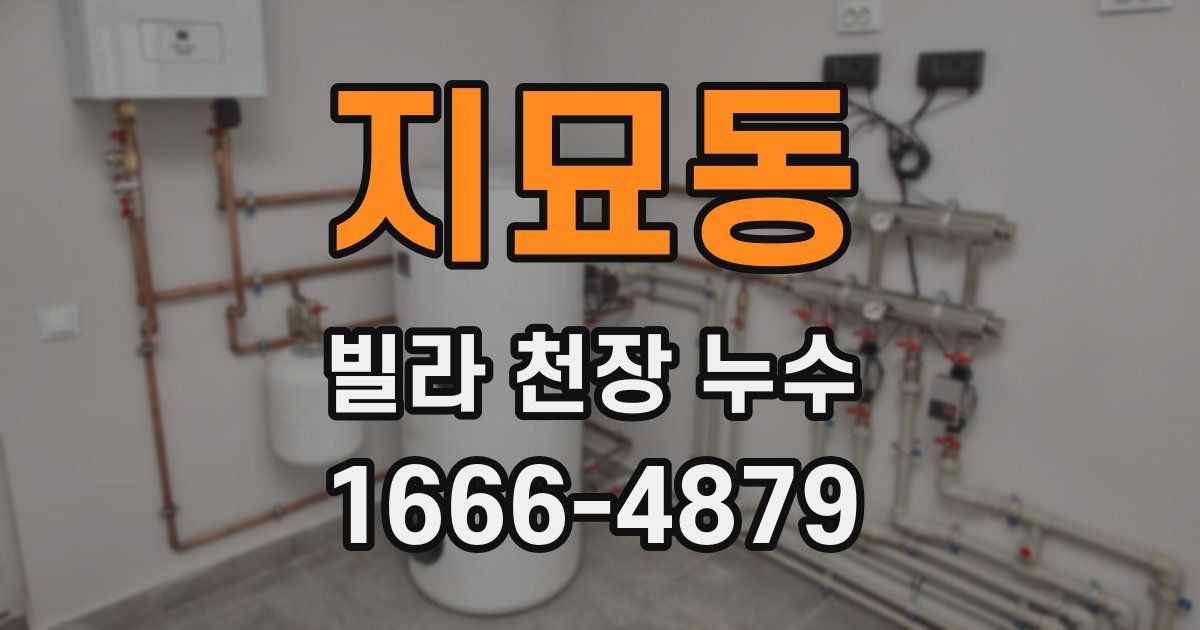 지묘동 빌라 천장 누수