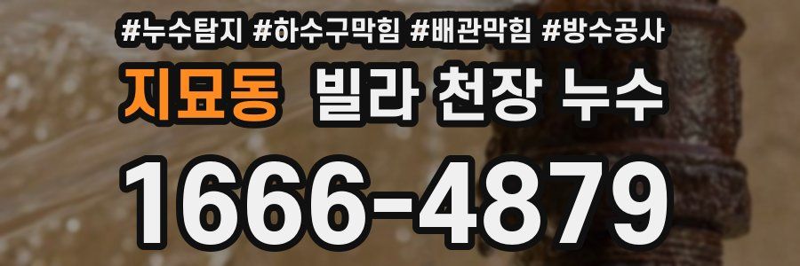 지묘동 빌라 천장 누수