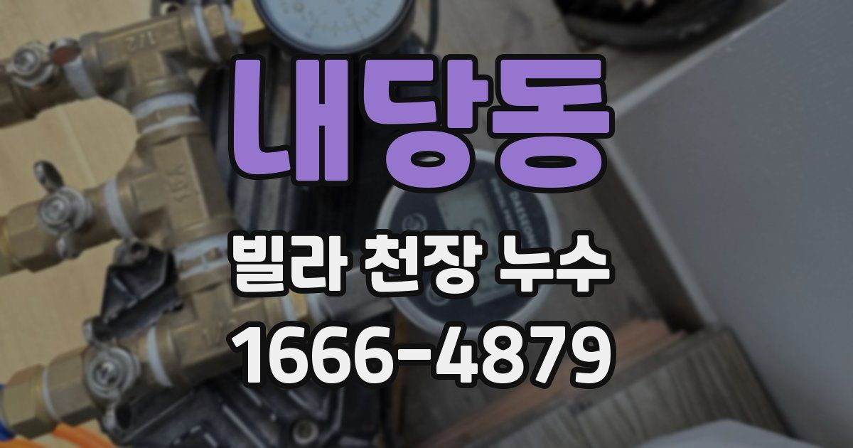 내당동 빌라 천장 누수