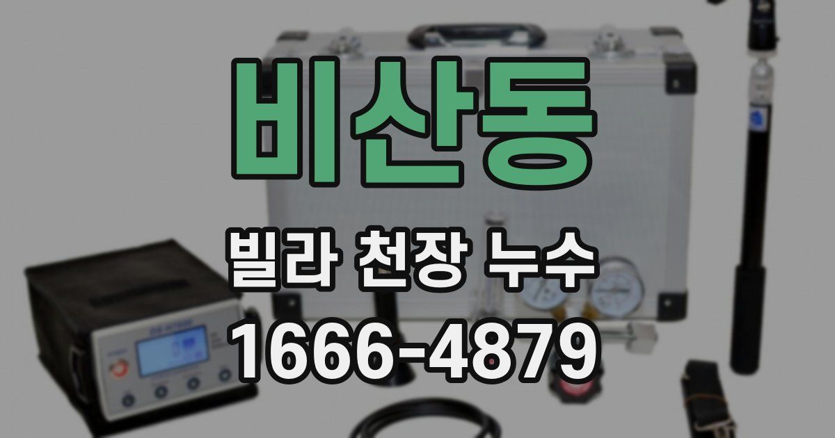 비산동 빌라 천장 누수
