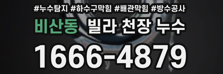 비산동 빌라 천장 누수