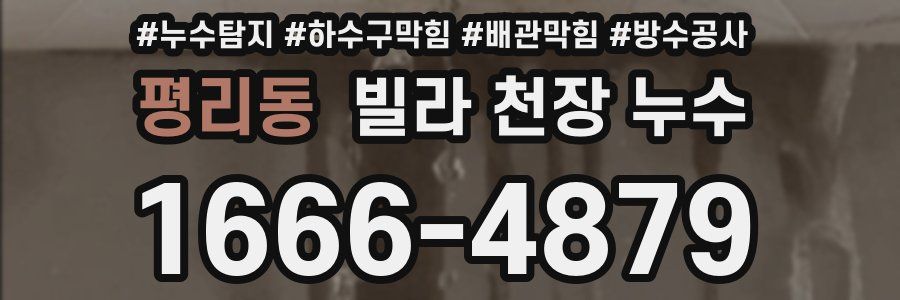 평리동 빌라 천장 누수