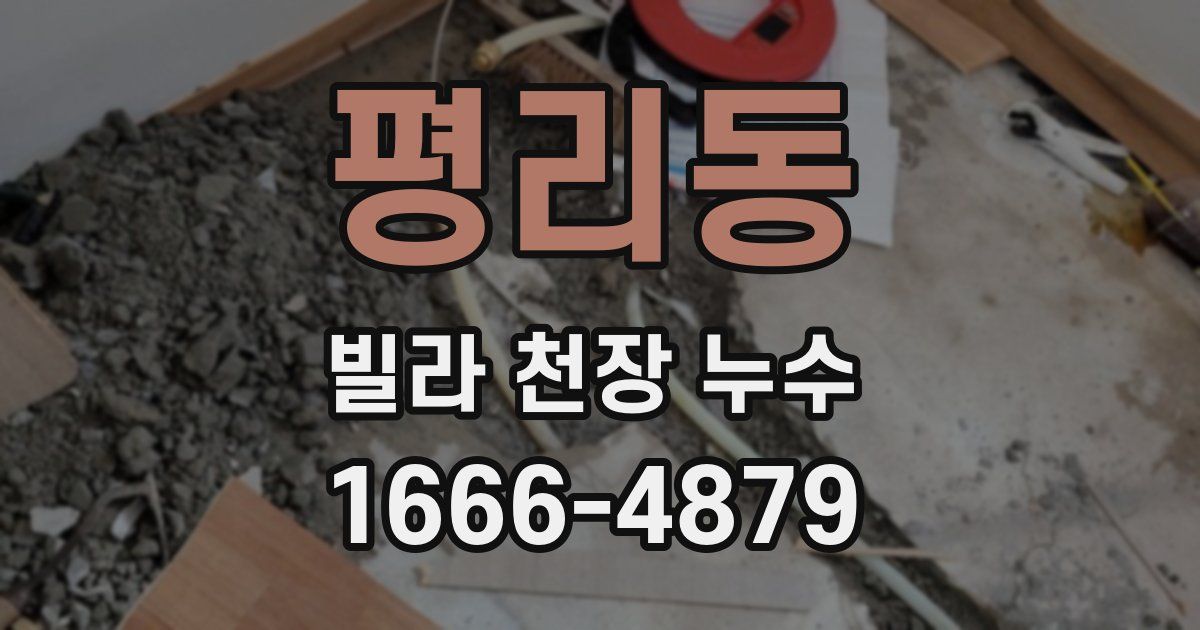 평리동 빌라 천장 누수