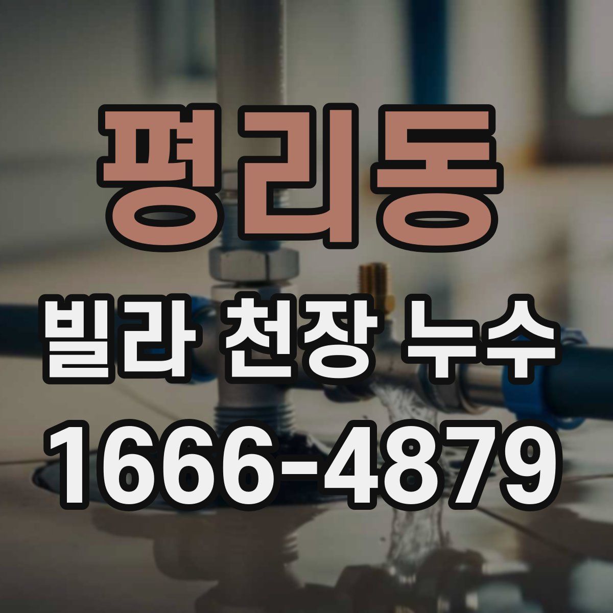 평리동 빌라 천장 누수