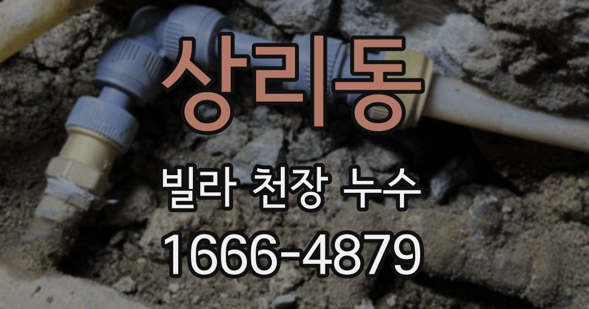 상리동 빌라 천장 누수