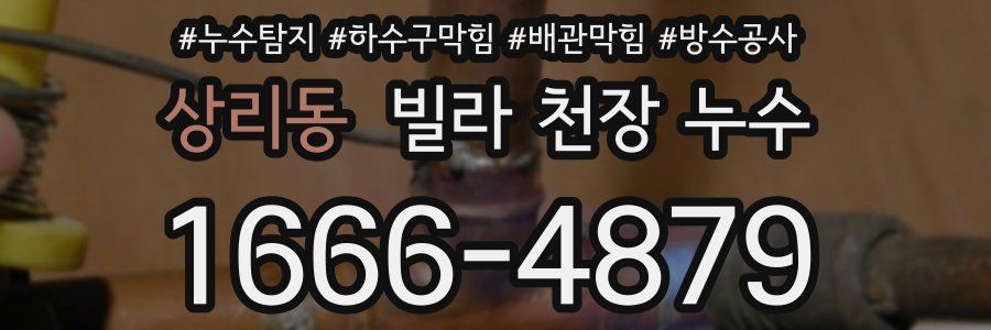 상리동 빌라 천장 누수