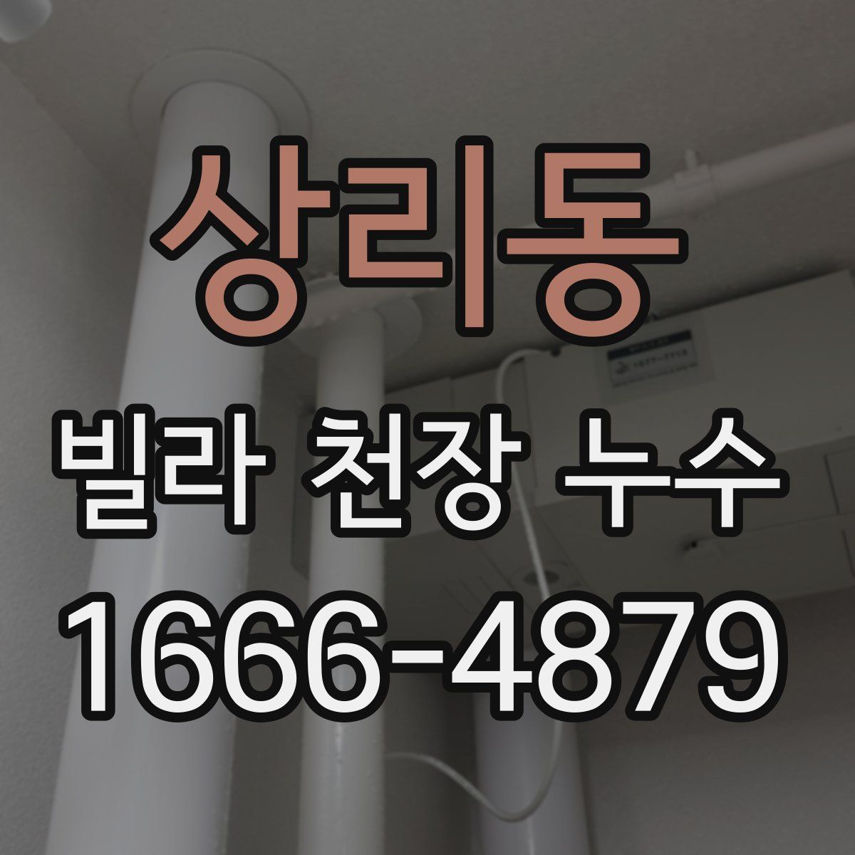 상리동 빌라 천장 누수