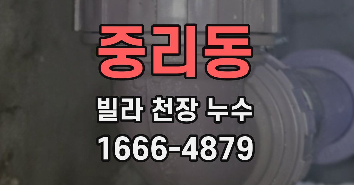 중리동 빌라 천장 누수