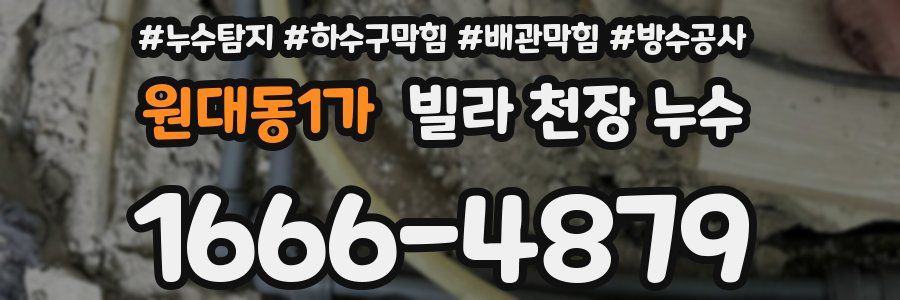 원대동1가 빌라 천장 누수