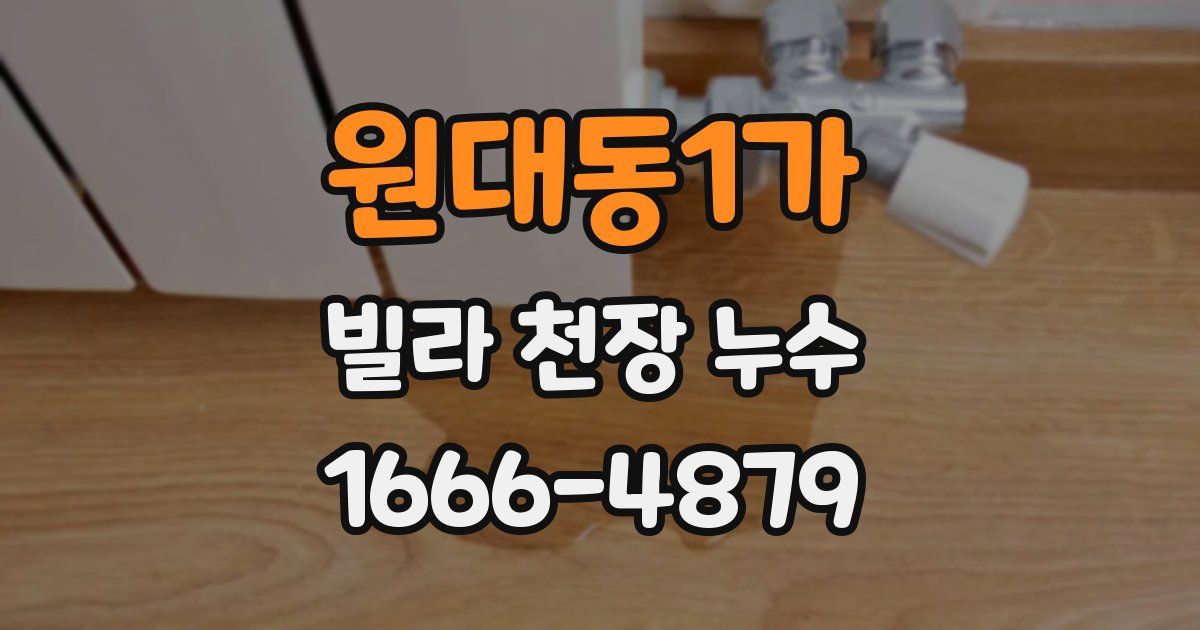 원대동1가 빌라 천장 누수
