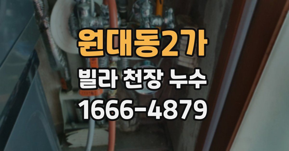 원대동2가 빌라 천장 누수