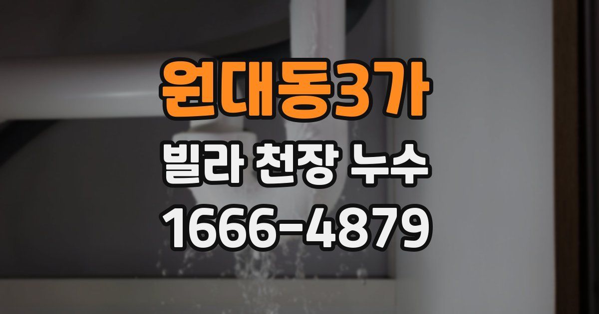 원대동3가 빌라 천장 누수