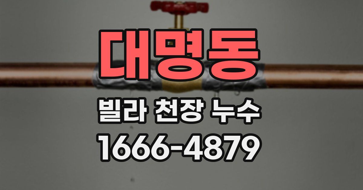 대명동 빌라 천장 누수