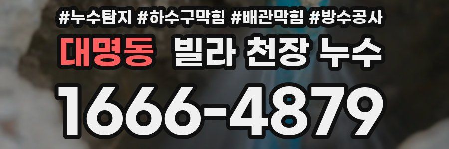 대명동 빌라 천장 누수